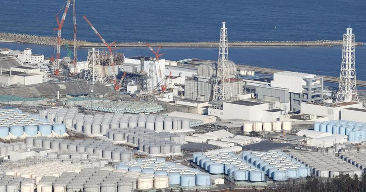 Un argentino controlará el vertido de aguas residuales de la central nuclear de Fukushima en Japón
