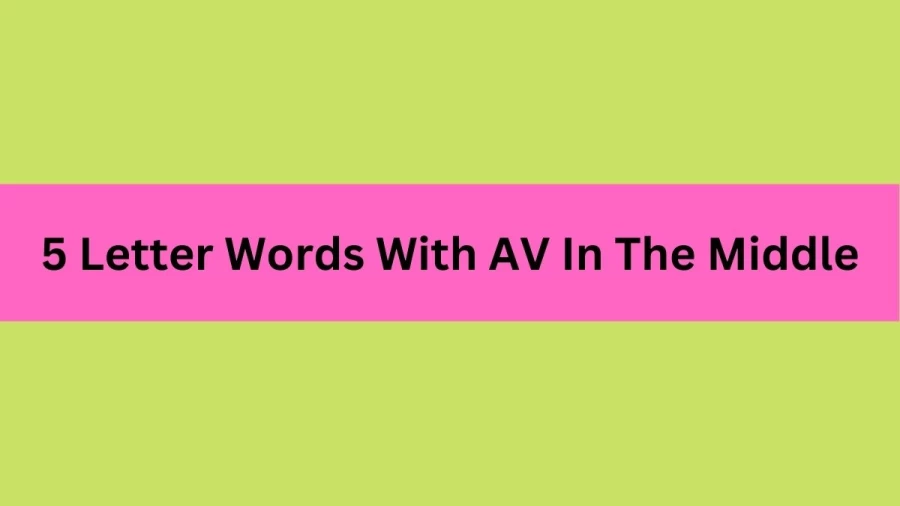 5 Letter Words With AV In The Middle, List Of 5 Letter Words With AV In The Middle