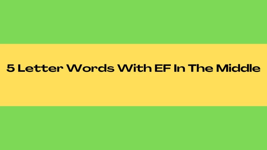 5 Letter Words With EF In The Middle, List Of 5 Letter Words With EF In The Middle