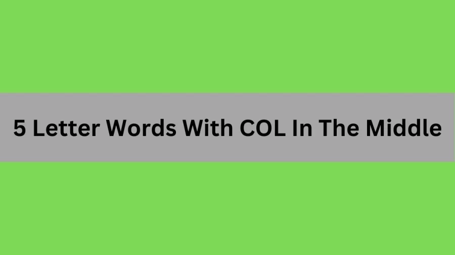 5 Letter Words With COL In The Middle, List Of 5 Letter Words With COL In The Middle