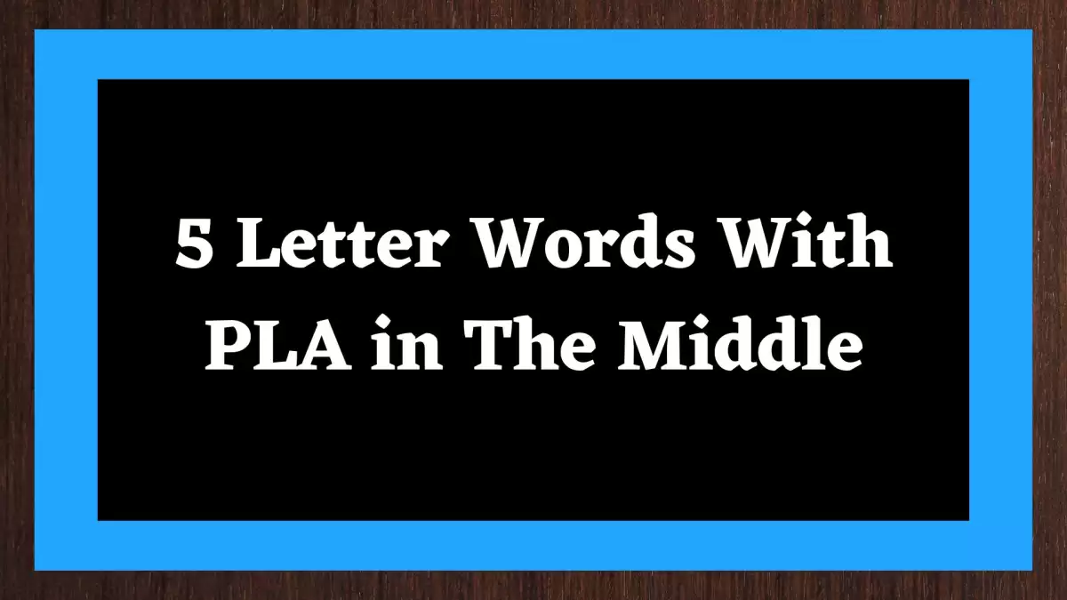 5 Letter Words With PLA in The Middle, List Of 5 Letter Words With PLA in The Middle