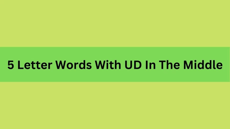 5 Letter Words With UD In The Middle, List Of 5 Letter Words With UD In The Middle