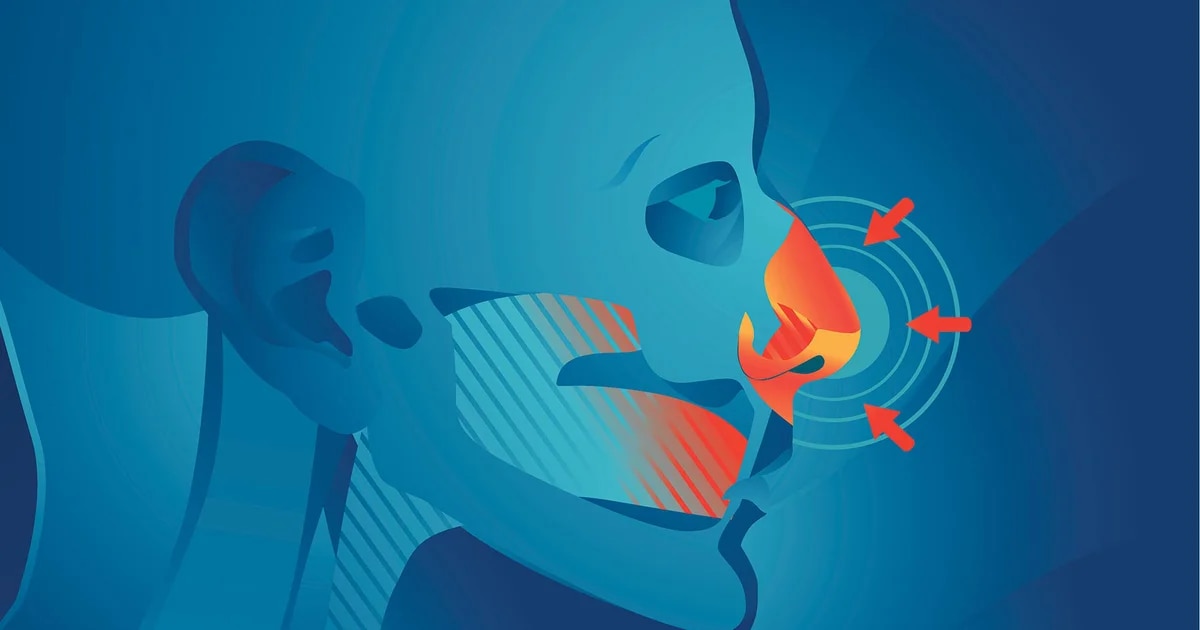 ¿Qué es el código de percepción del olfato, según un modelo de inteligencia artificial?