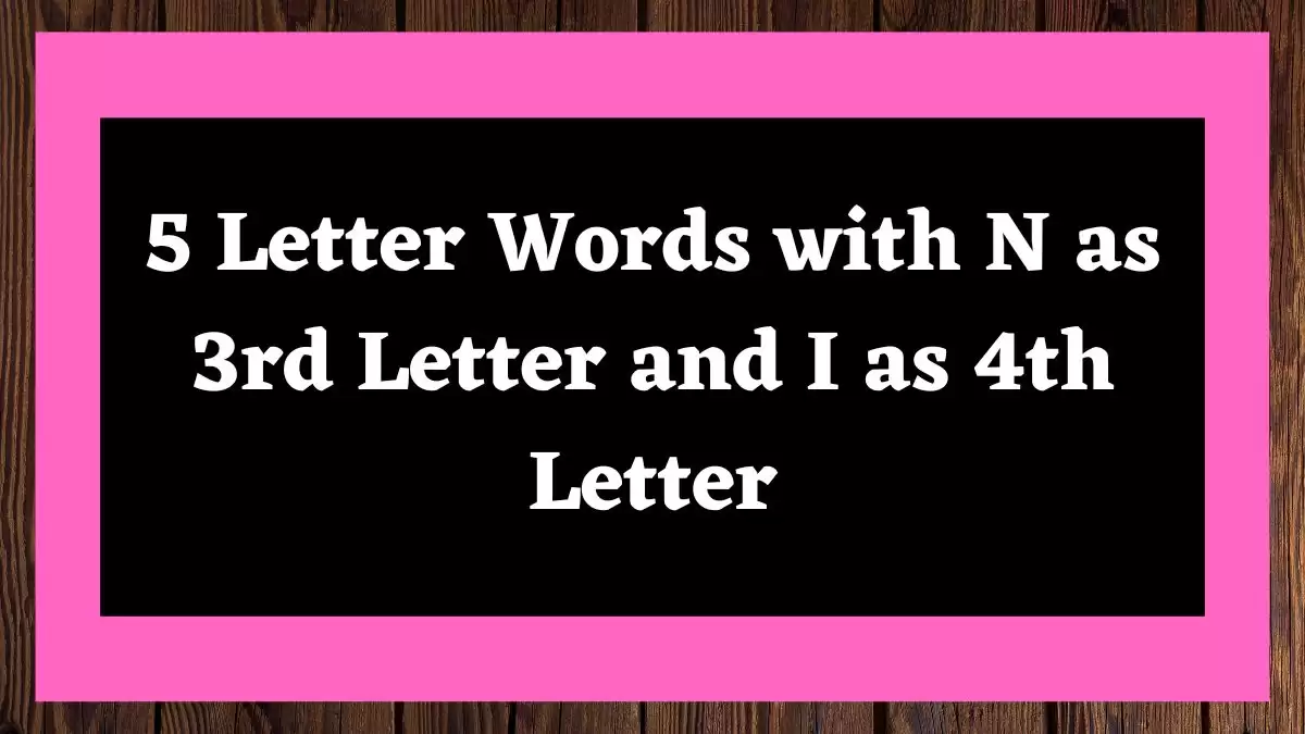 5 Letter Words with N as 3rd Letter and I as 4th Letter All Words List