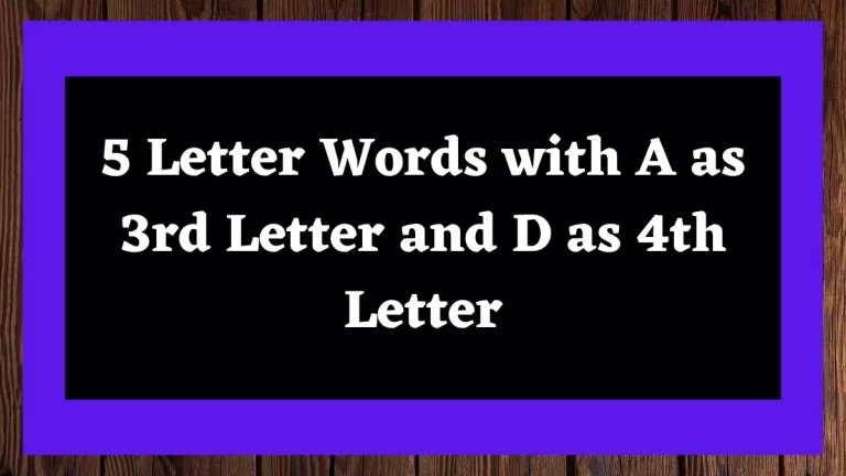 5 Letter Words with A as 3rd Letter and D as 4th Letter All Words List