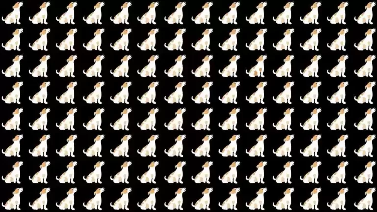 Optical Illusion Brain Teaser: Can you find the Odd Dog in 12 Seconds?