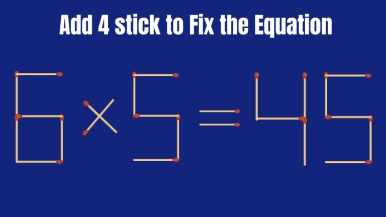 Brain Test: 6x5=45 Add 4 Matchsticks To Fix The Equation