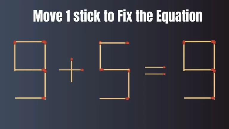 Brain Test: 9+5=9 Move 1 Matchstick To Fix The Equation
