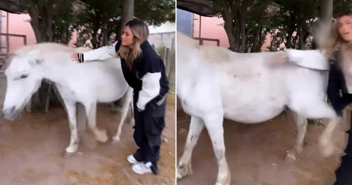 Julieta Poggio intentó acariciar a un caballo y se llevó una dolorosa sorpresa