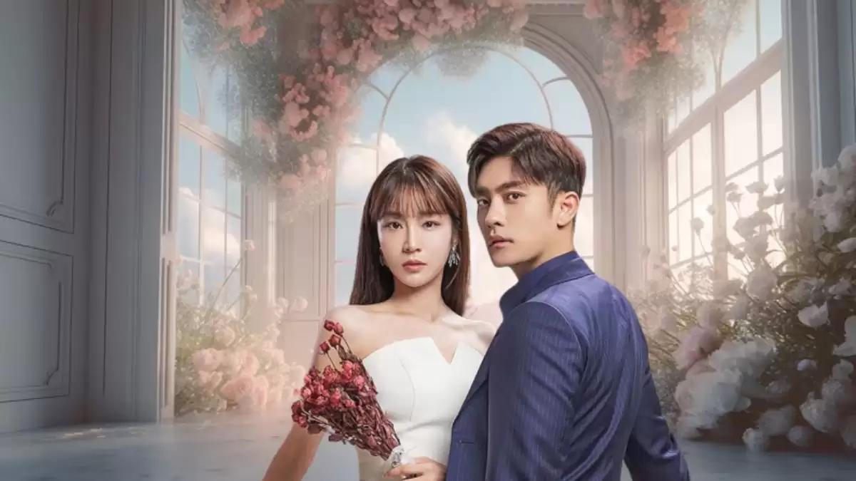 Perfect Marriage Revenge Episode 6 Ending Explained, Release Date, Cast, Plot, Review, Where to Watch, Trailer and More