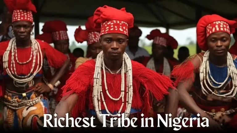 Richest Tribe in Nigeria - Top 10 Tribal Triumph