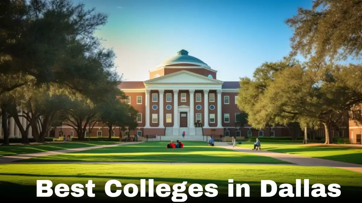 Top 10 Best Colleges in Dallas - Redefining Higher Education