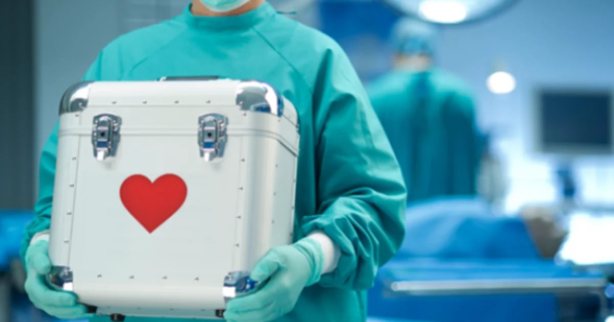 Trasplante y solidaridad: qué piensan los argentinos sobre la donación de órganos y tejidos