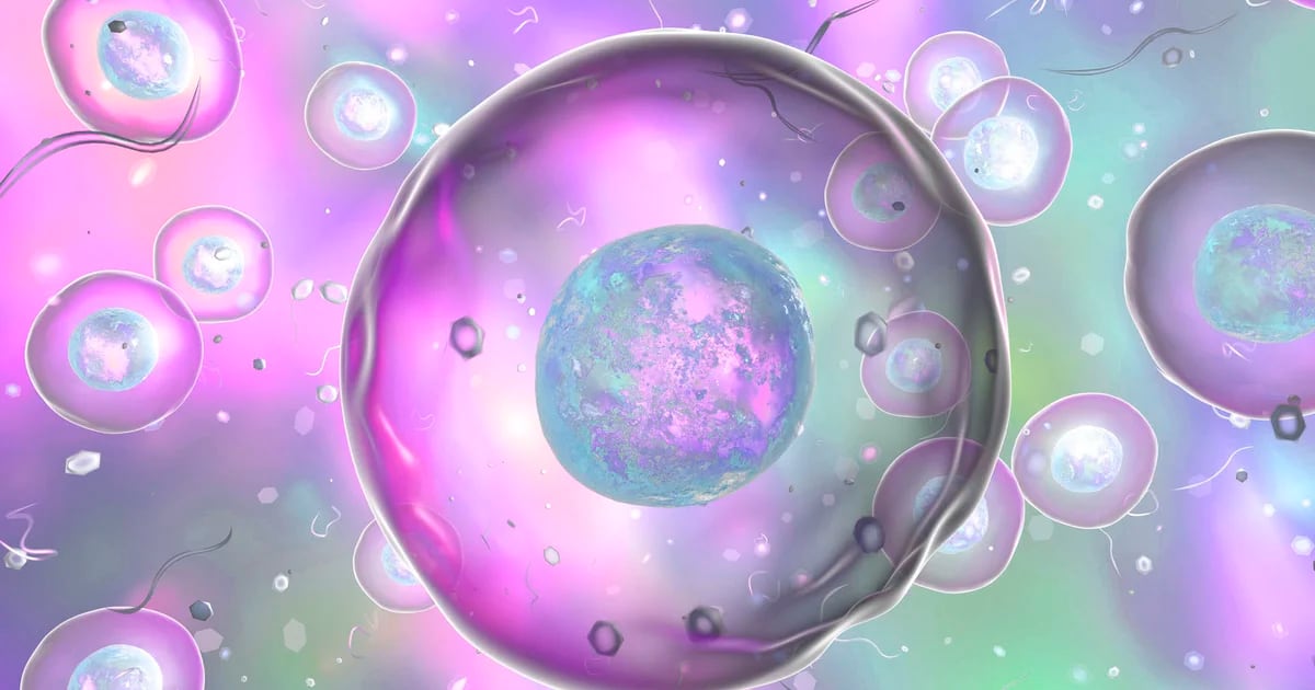 Viaje al mundo de las células: un manual imprescindible sobre los componentes básicos de la vida