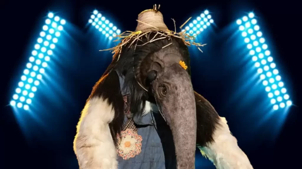 Who is Anteater on The Masked Singer Season 10? Clues and Guesses