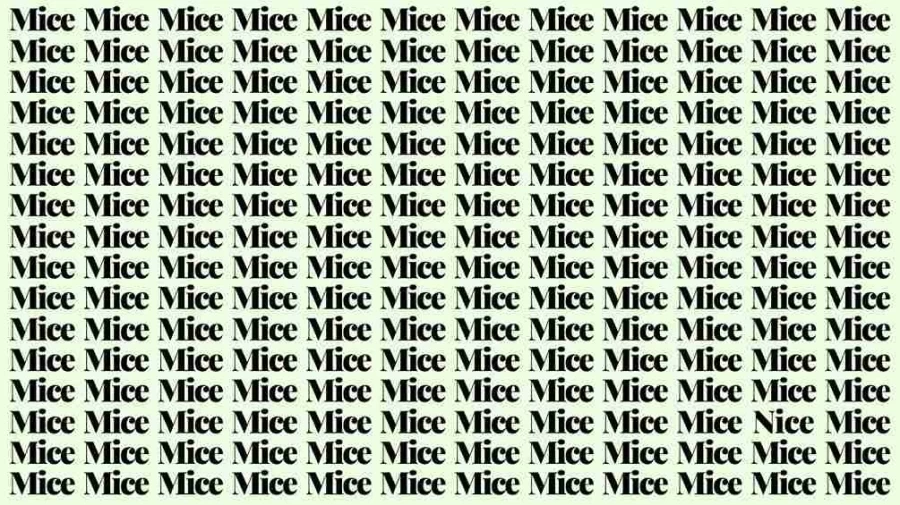 Observation Skills Test: If you have Hawk Eyes find the Word Nice among Mice in 15 Secs