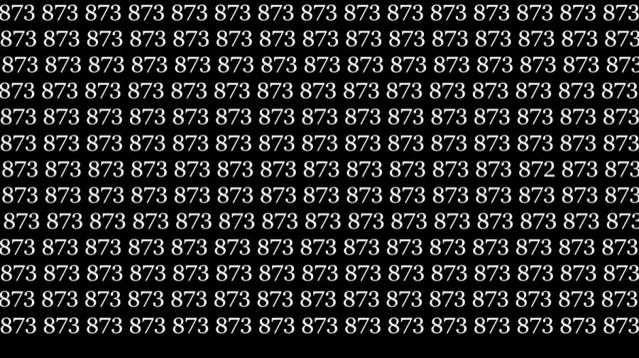Optical Illusion Challenge: If you have Sharp Eyes find the Number 872 among 873 in 6 Seconds
