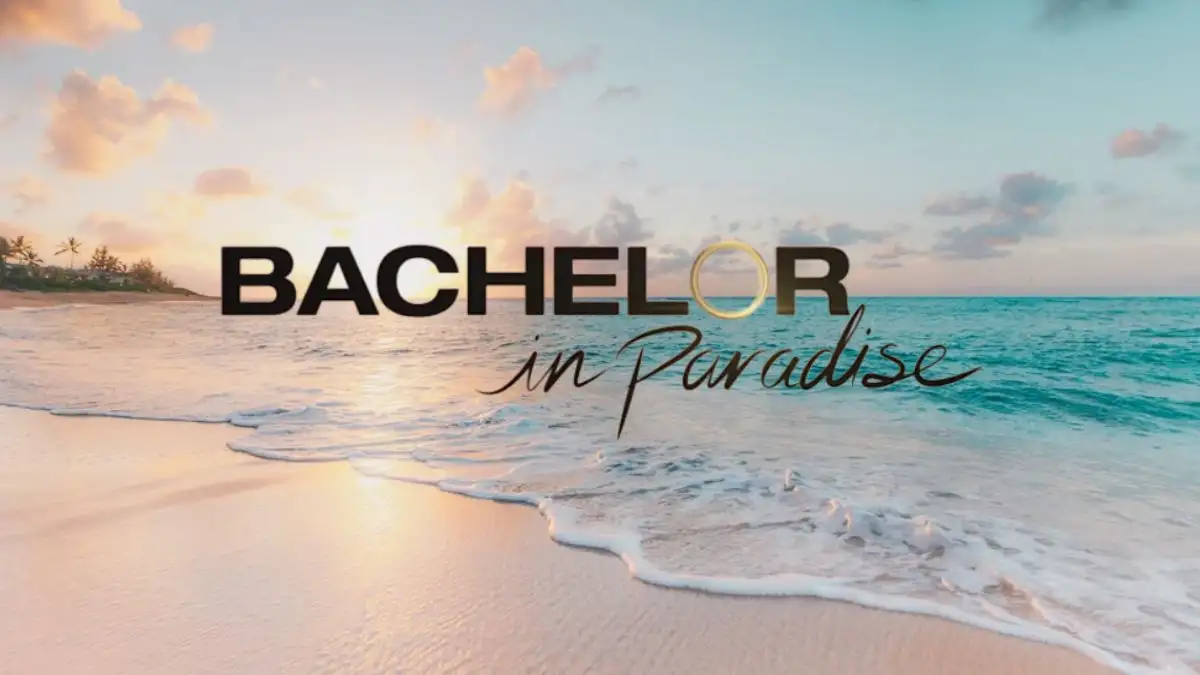 The Bachelors 2023 Which Couples Are Still Together? Know Here!