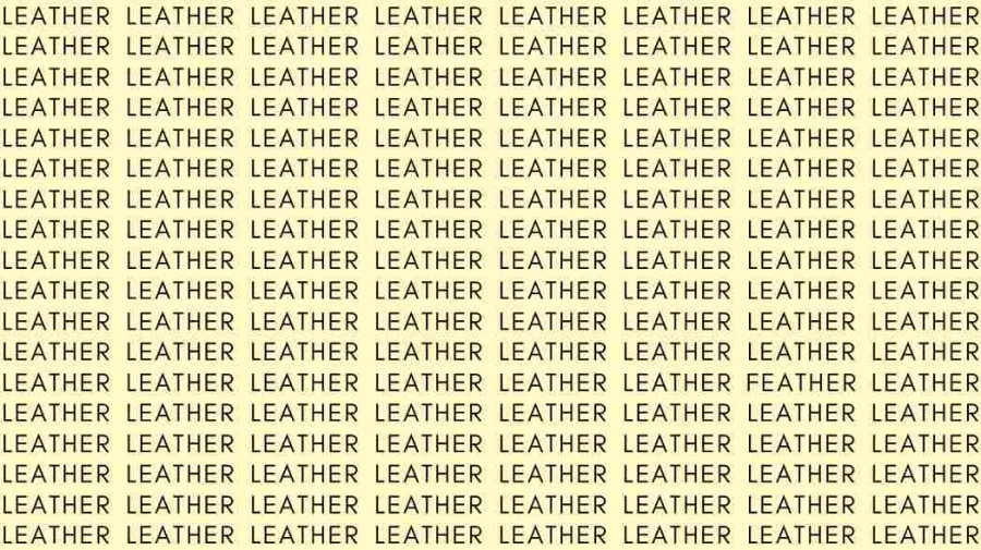 Observation Skill Test: If you have Eagle Eyes find the Word Feather among Leather in 12 Secs
