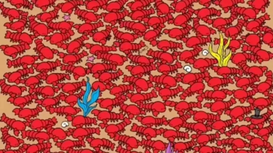 Optical Illusion Find and Seek: Only Hawk Eyes Can Find the Hidden Four Tiny Crabs Among the Lobsters in 15 Secs