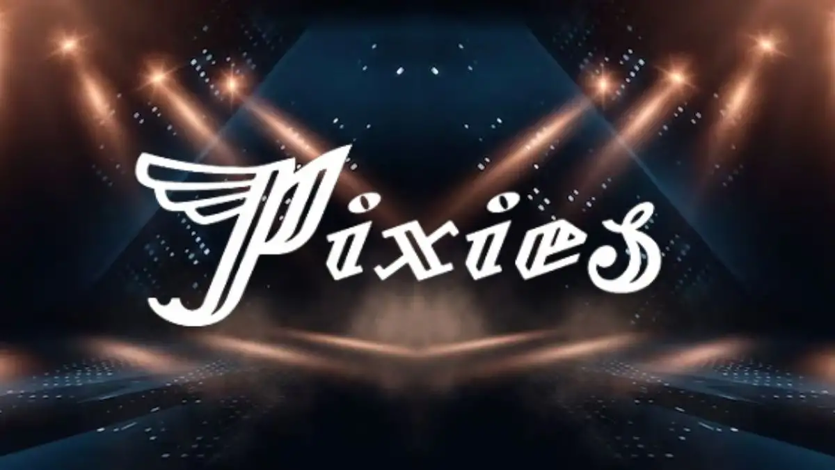 Pixies Extend Tour Dates 2024, How to Get Preslae Code Tickets?