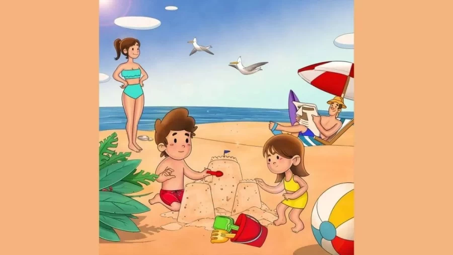 Optical Illusion Visual Test: Can you find a hidden crab on the beach in 15 seconds?