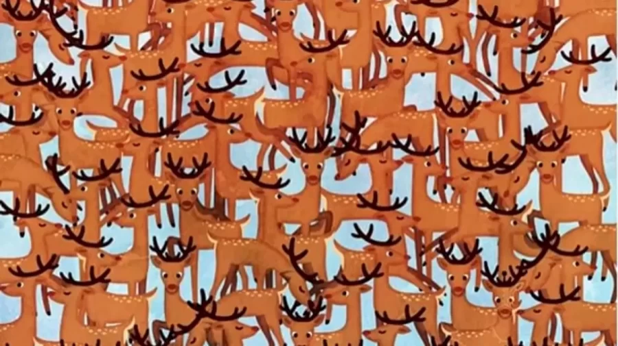 Optical Illusion Eye Test: There is a Robotic Reindeer Hidden among these Reindeers. Do You See It?