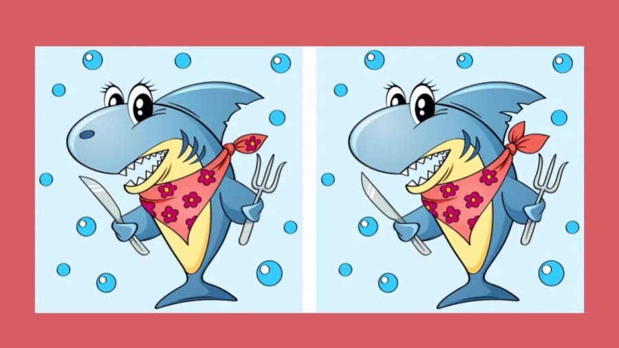 Spot the Difference: Only a Genius can Find the 10 Differences in less than 45 seconds!