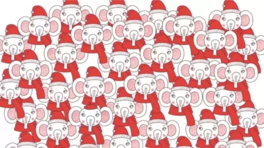 Optical Illusion: Can you find the Elephant with a Beret in 12 Seconds?